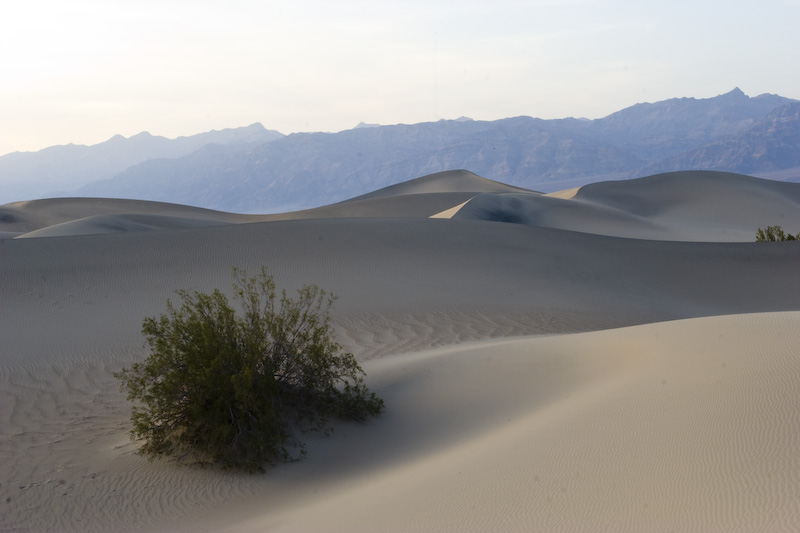 Mesquite Flat Sand Dunes